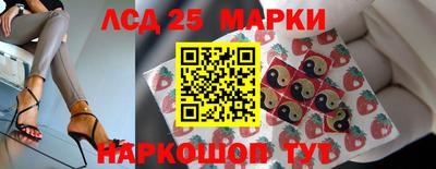 прущие грибы Будённовск