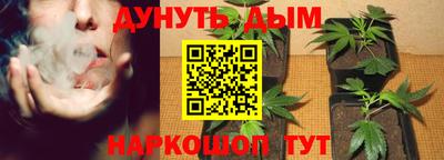 прущие грибы Будённовск