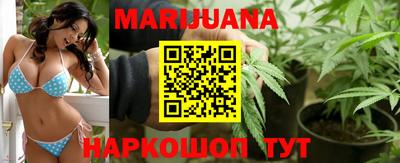 прущие грибы Будённовск