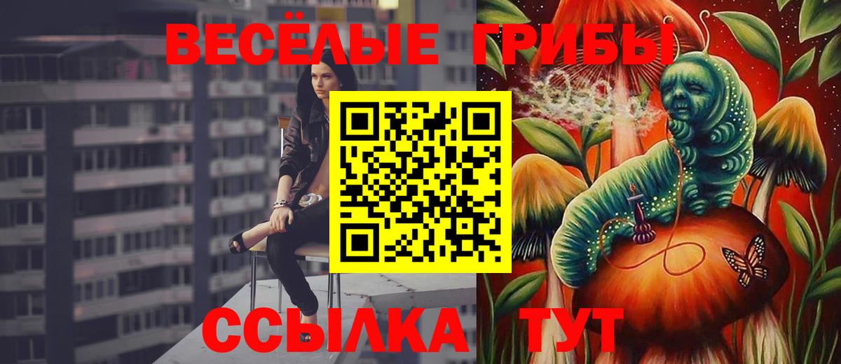 Орехово-Зуево  Псилоцибиновые грибы Psilocybine cubensis  Вход с VPN 