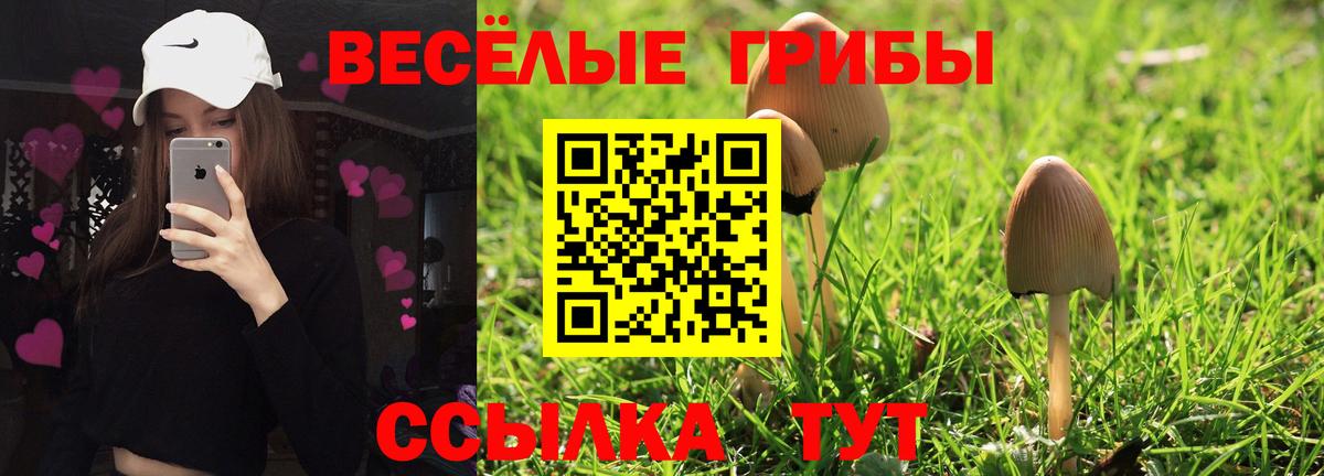 Галлюциногенные грибы мицелий Орехово-Зуево